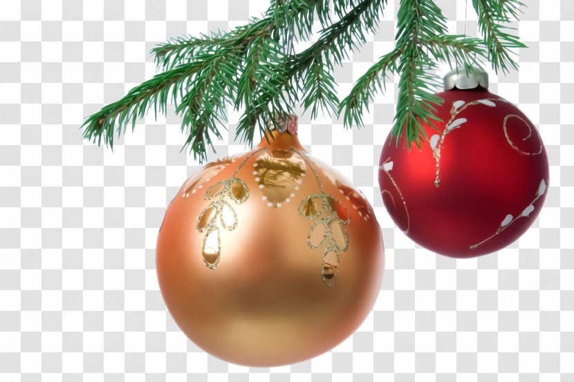 Christmas Ornament - Tree - Plant Transparent PNG