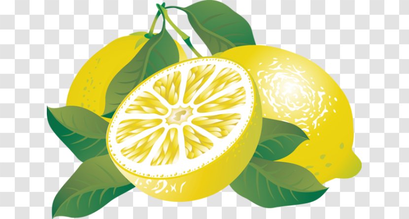 Lemon Free Content Clip Art - Citrus Cliparts Transparent PNG