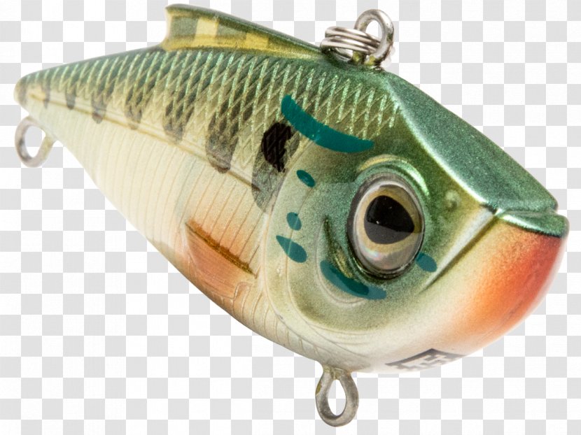 Spoon Lure Fishing Baits & Lures Plug Ledgers - Shopping - Bait Transparent PNG