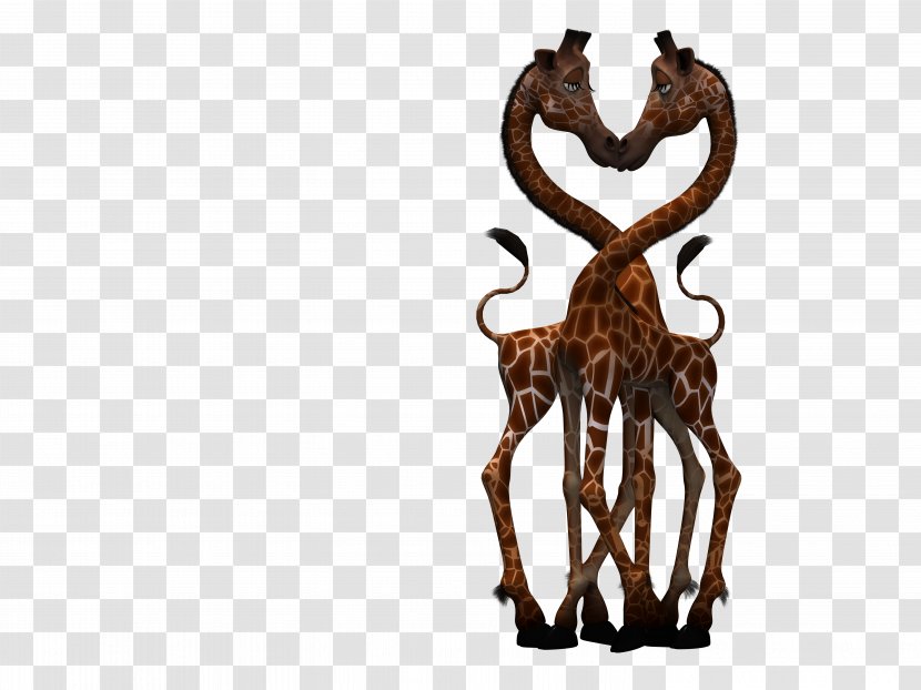 Reindeer Romance Love Image Northern Giraffe Transparent PNG