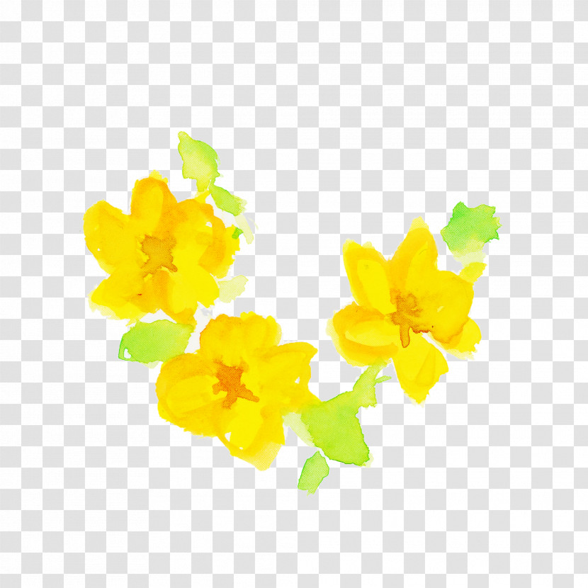 Yellow Flower Plant Petal Wildflower Transparent PNG