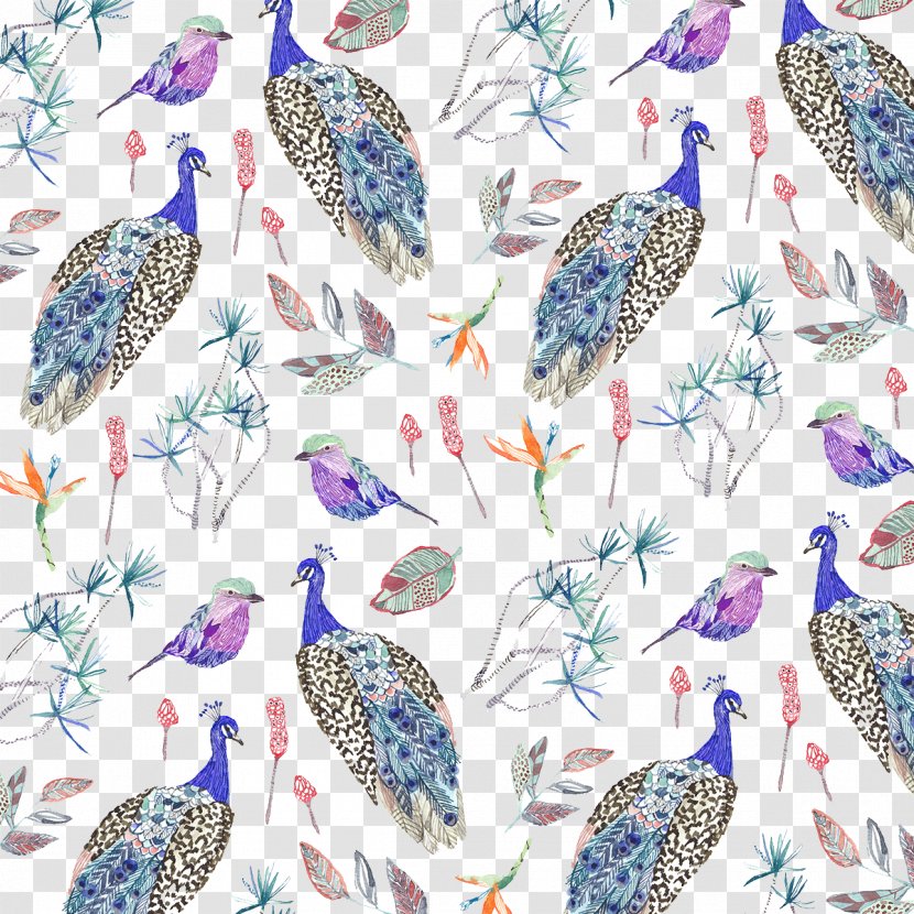 Bird Illustrator Pattern - Peafowl - Flower And Designs Painted Peacock Transparent PNG