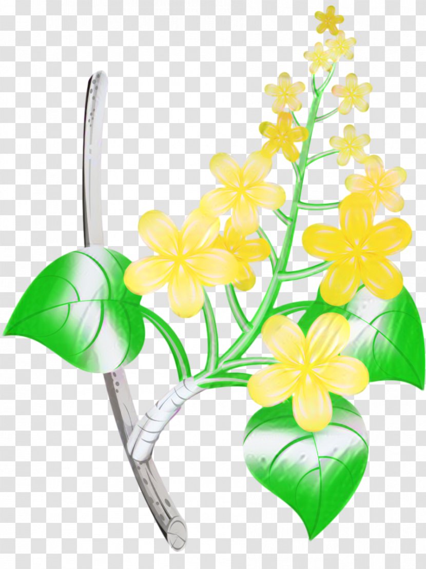 Floral Design Cut Flowers Moth Orchids - Plant Stem Transparent PNG
