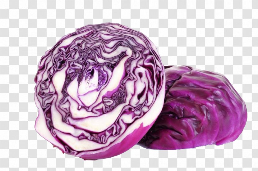 Red Cabbage Organic Food Vegetable - Free Purple Pull Material Transparent PNG