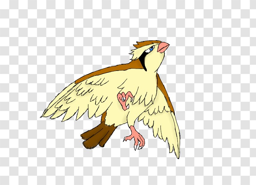 Pidgeotto Bird Pidgey Pokémon GO - Organism Transparent PNG