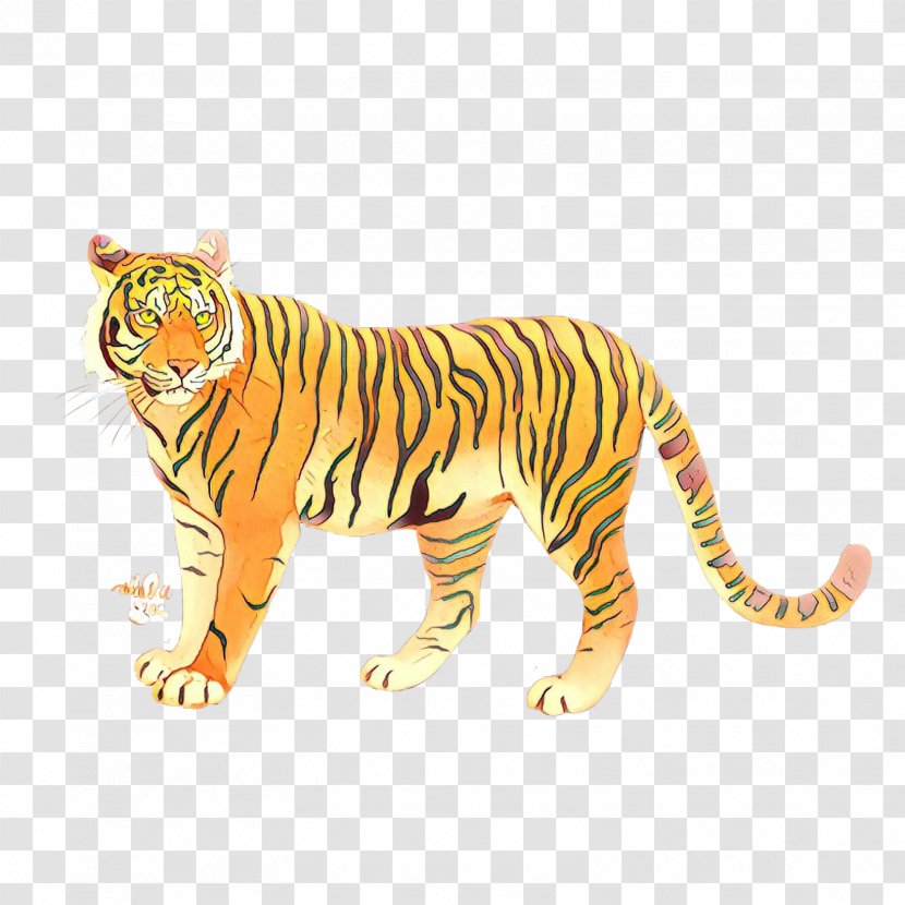 Tiger Big Cat Terrestrial Animal Fauna - Yellow Transparent PNG