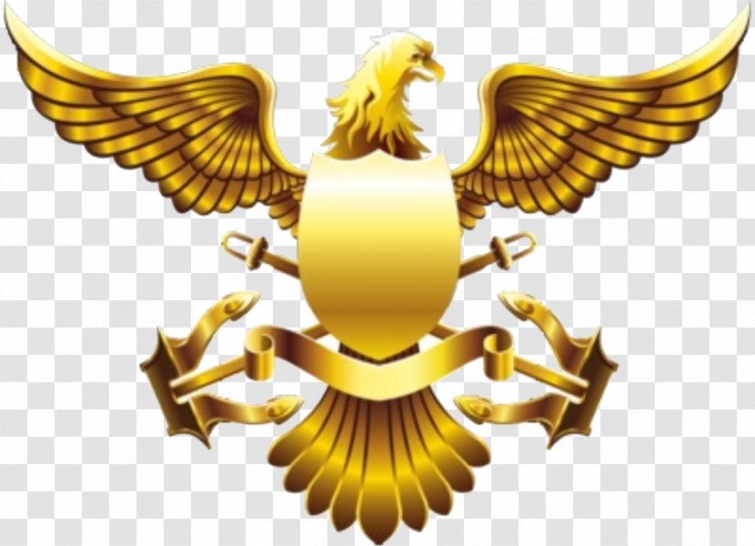 Golden Eagle American Gold - Falcon Transparent PNG
