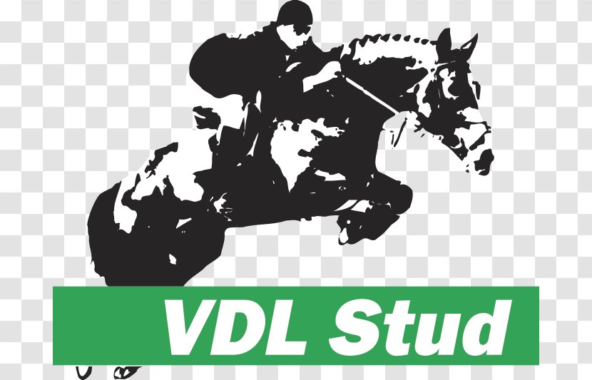 VDL Stud Horse Leeuwarden Groep Bearsterdyk - Rein Transparent PNG
