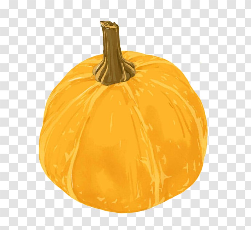 Pumpkin Halloween Kabocha - Deng Minghe - A Transparent PNG