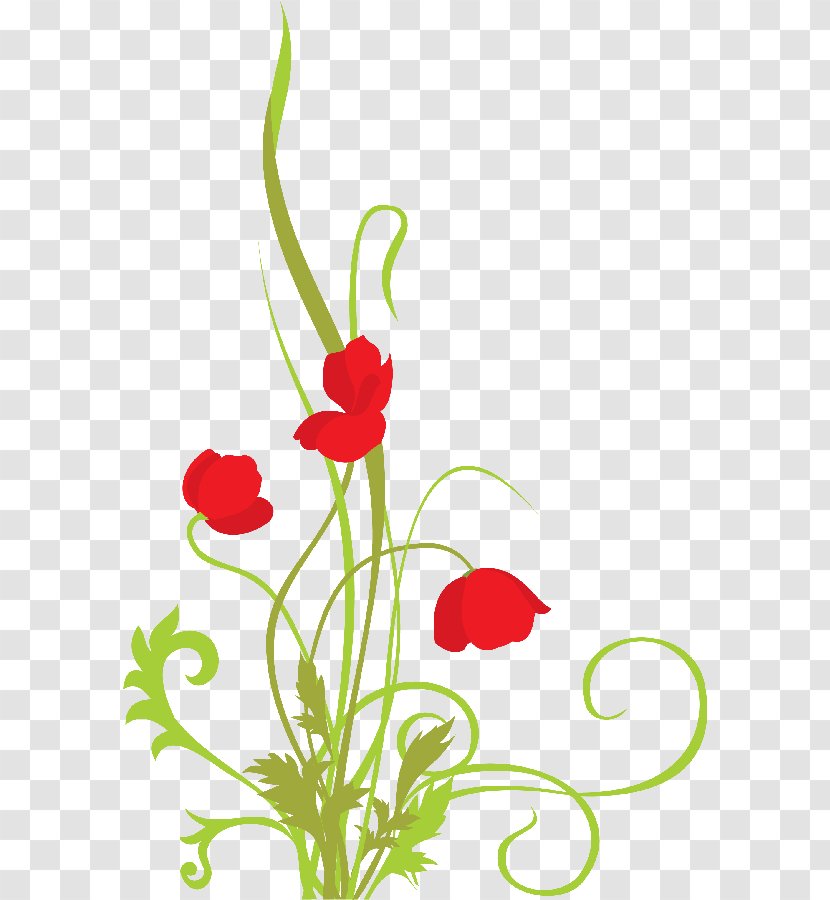 Flower Handicraft - Designer - FLORES Transparent PNG