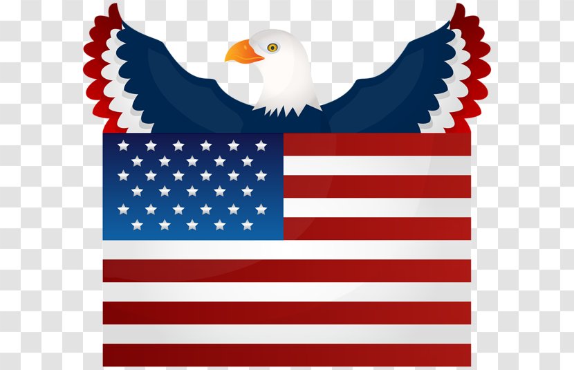 Flag Of The United States Bald Eagle National - Independence Day Transparent PNG