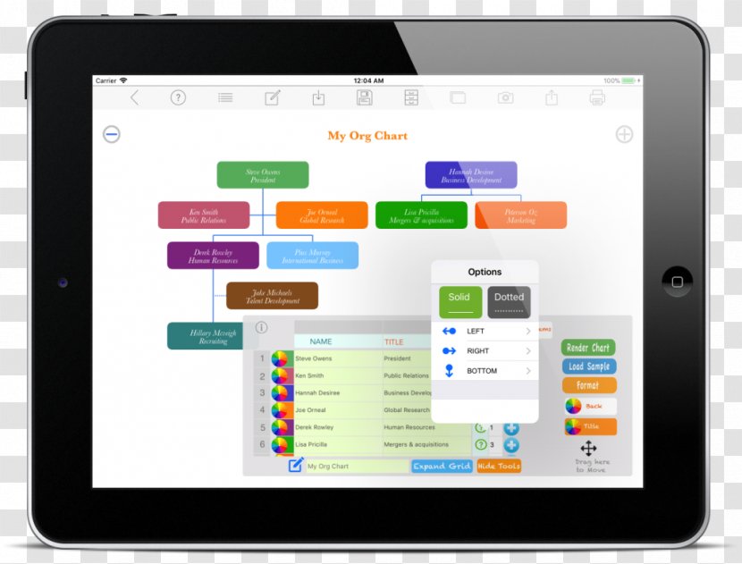 Computer Program Information Online Advertising Monitors Visualization - Display Device - Ipad Pro Transparent PNG