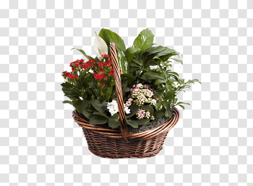 Food Gift Baskets Floral Design Cut Flowers - Plant - Flower Transparent PNG