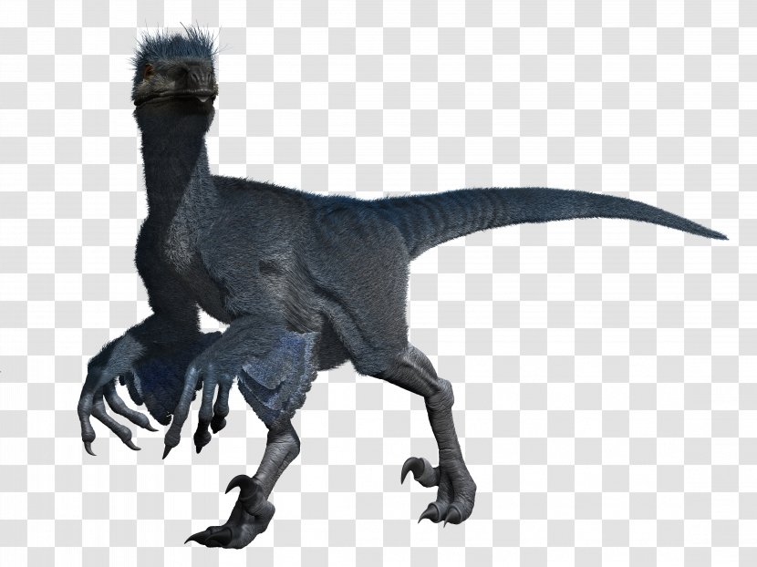 Velociraptor Tyrannosaurus Extinction Terrestrial Animal - Dinosaur Transparent PNG