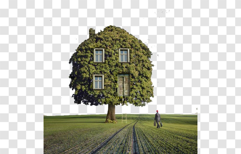 Tree House Surrealism Photography - Creative Cabin Transparent PNG