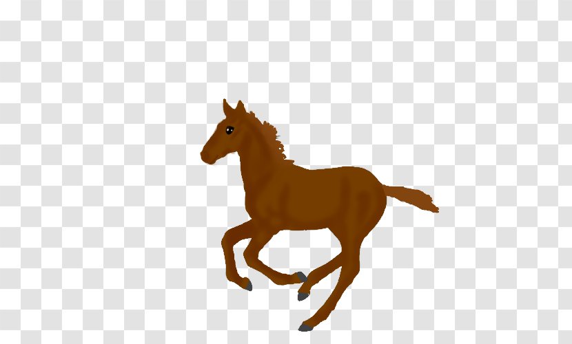 Mustang Foal Stallion Colt Mare - Horse Supplies Transparent PNG