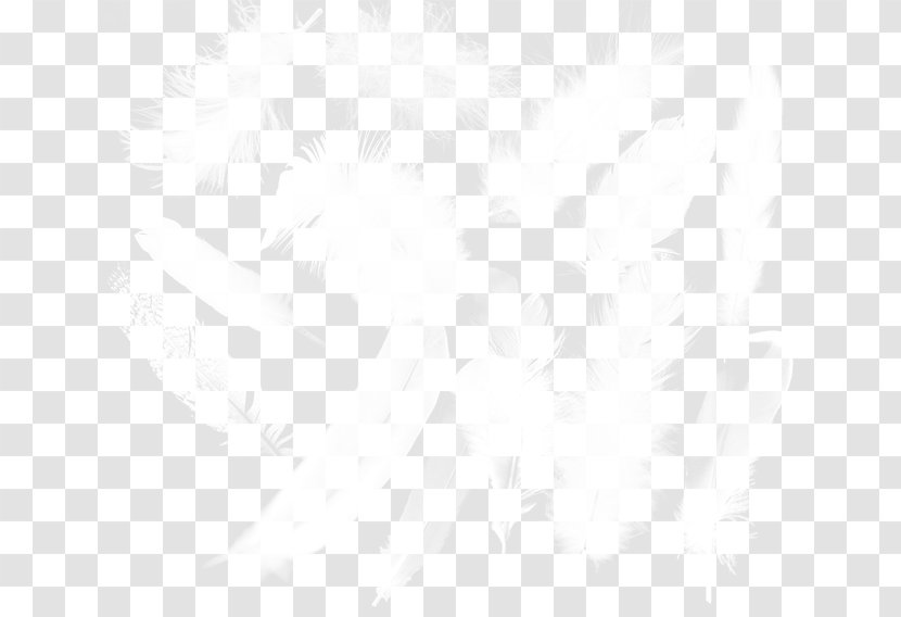 Black And White Pattern - Product Design - Feather Transparent PNG