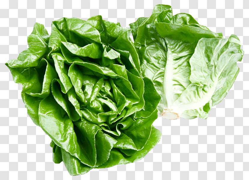 Leaf Vegetable Food Plant - Choy Sum Lettuce Transparent PNG