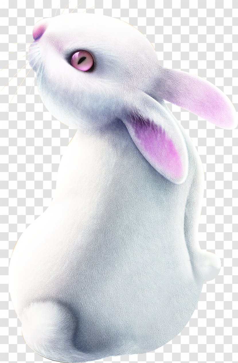 Domestic Rabbit Easter Bunny Hare - Painted White Posters Transparent PNG