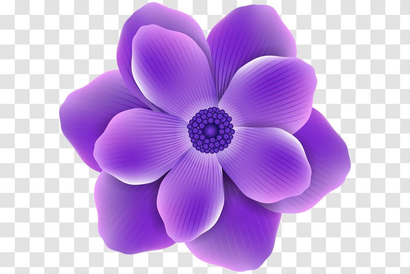 Flower Purple Rose Clip Art - Flowers Transparent PNG
