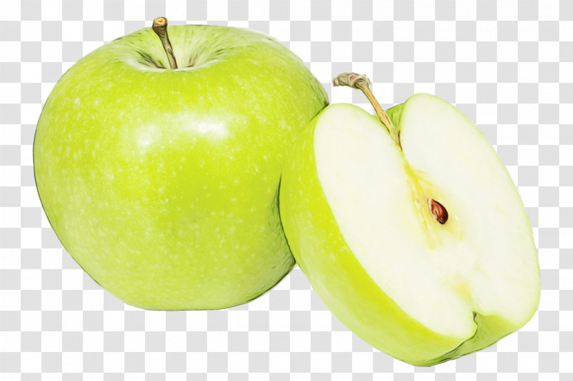 Natural Food Granny Smith Plant Fruit Biology Transparent PNG