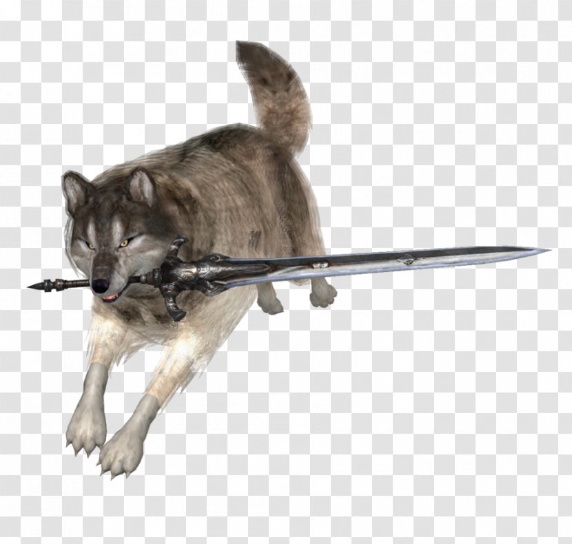 Dark Souls III Sif, The Great Grey Wolf Souls: Artorias Of Abyss - Snout Transparent PNG