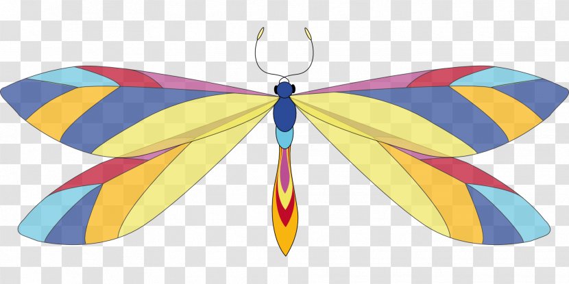 Drawing Clip Art - Arthropod - Moth Transparent PNG