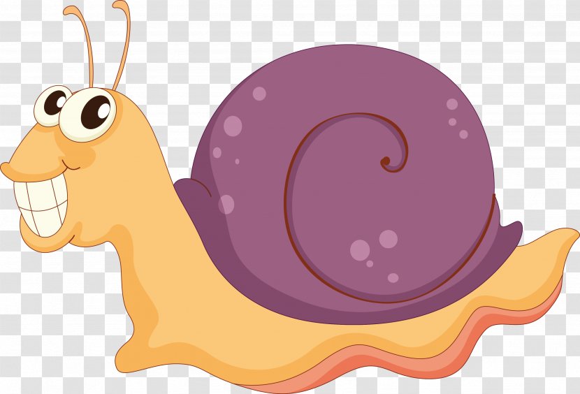 Snail Stock Photography - Organism Transparent PNG