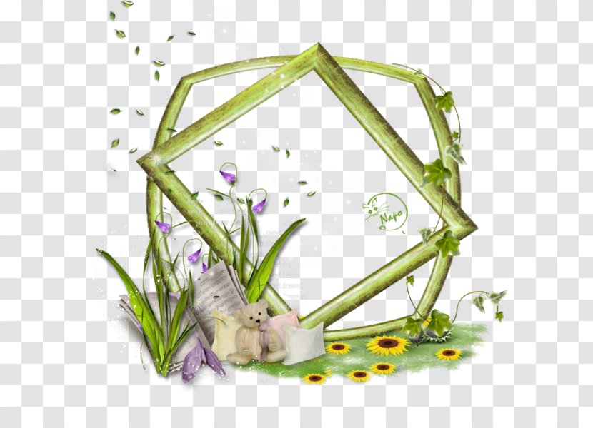 Cadre Scrap Picture Frames - Plant - Nap Transparent PNG