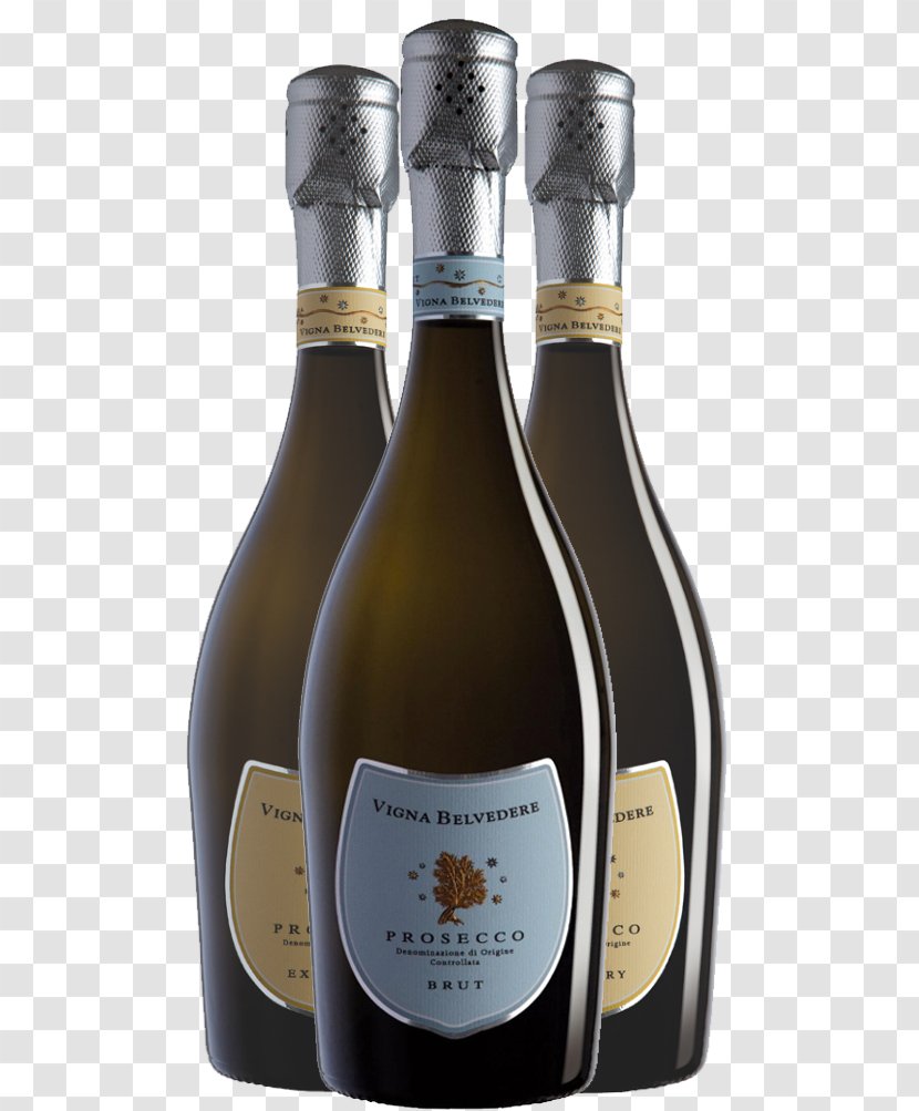 Champagne Prosecco Wine Common Grape Vine Perlage - Fermentation Transparent PNG