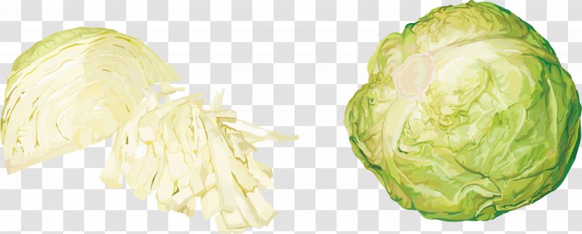 Red Cabbage Cauliflower Vegetable - Leaf - Vegetables Transparent PNG