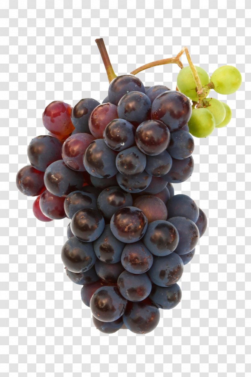 Grape Fruit Image Resolution - Grapefruit Transparent PNG