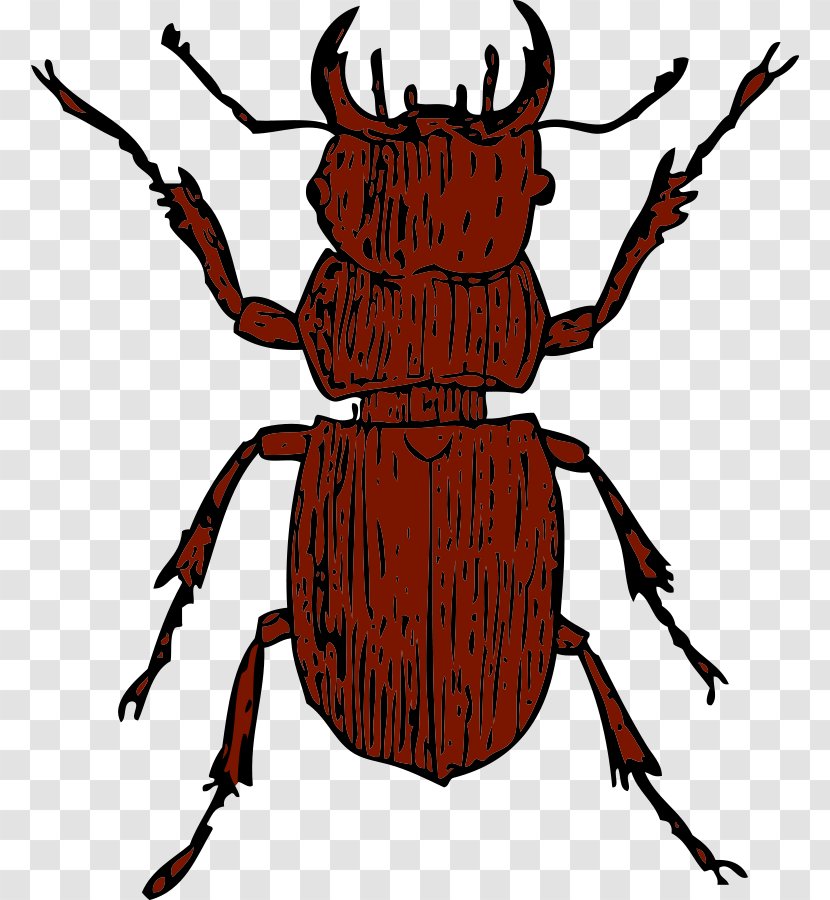 Stag Beetle Deer Clip Art - Scalable Vector Graphics - Cliparts Transparent PNG