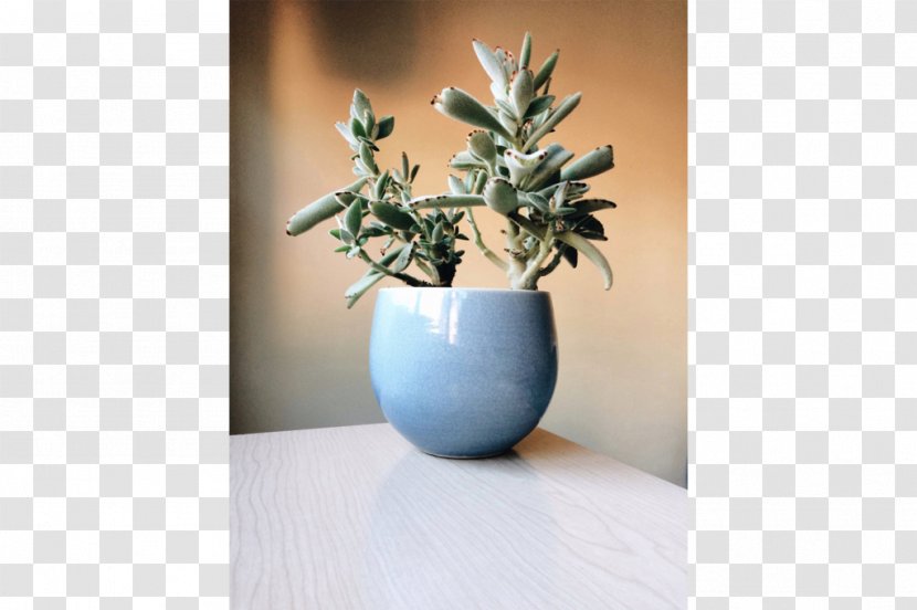 Ceramic Vase Still Life Photography - Flowerpot Transparent PNG