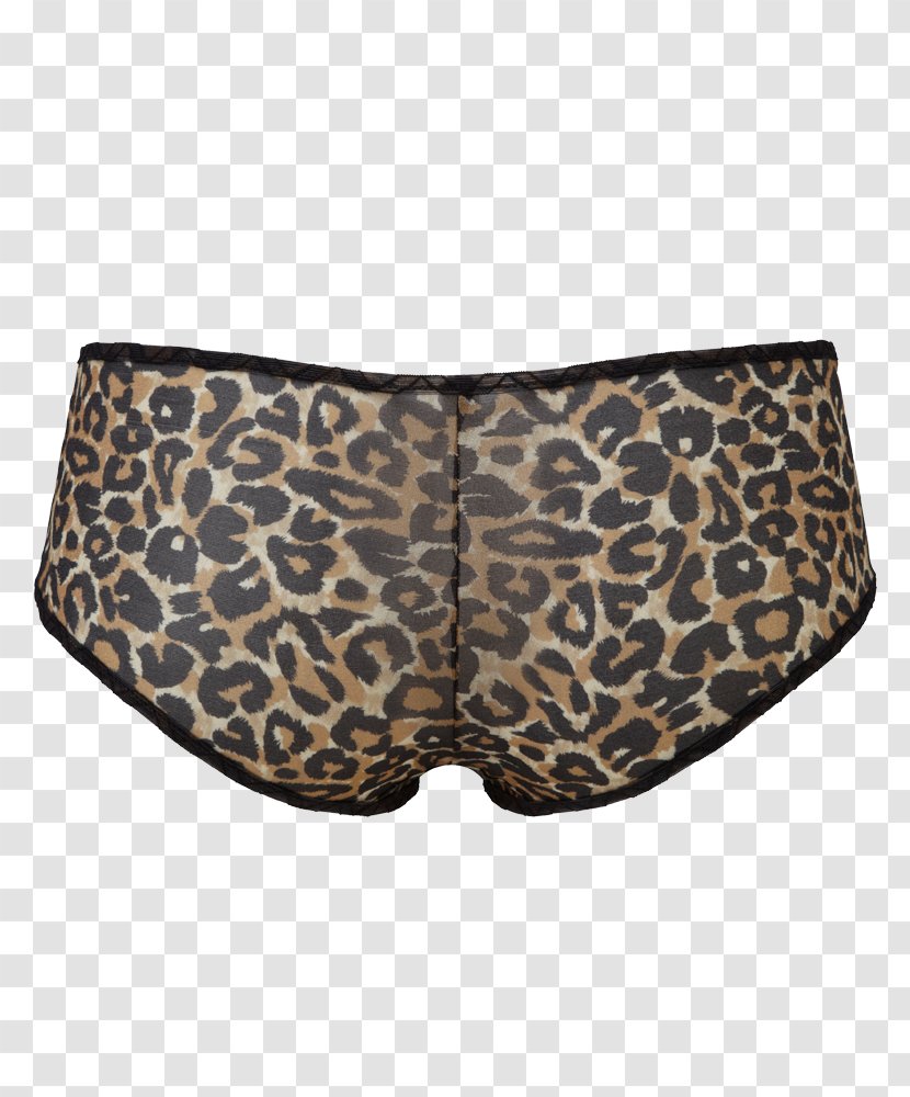 Swim Briefs Gossard Boyshorts Underpants - Frame - Leopard Transparent PNG