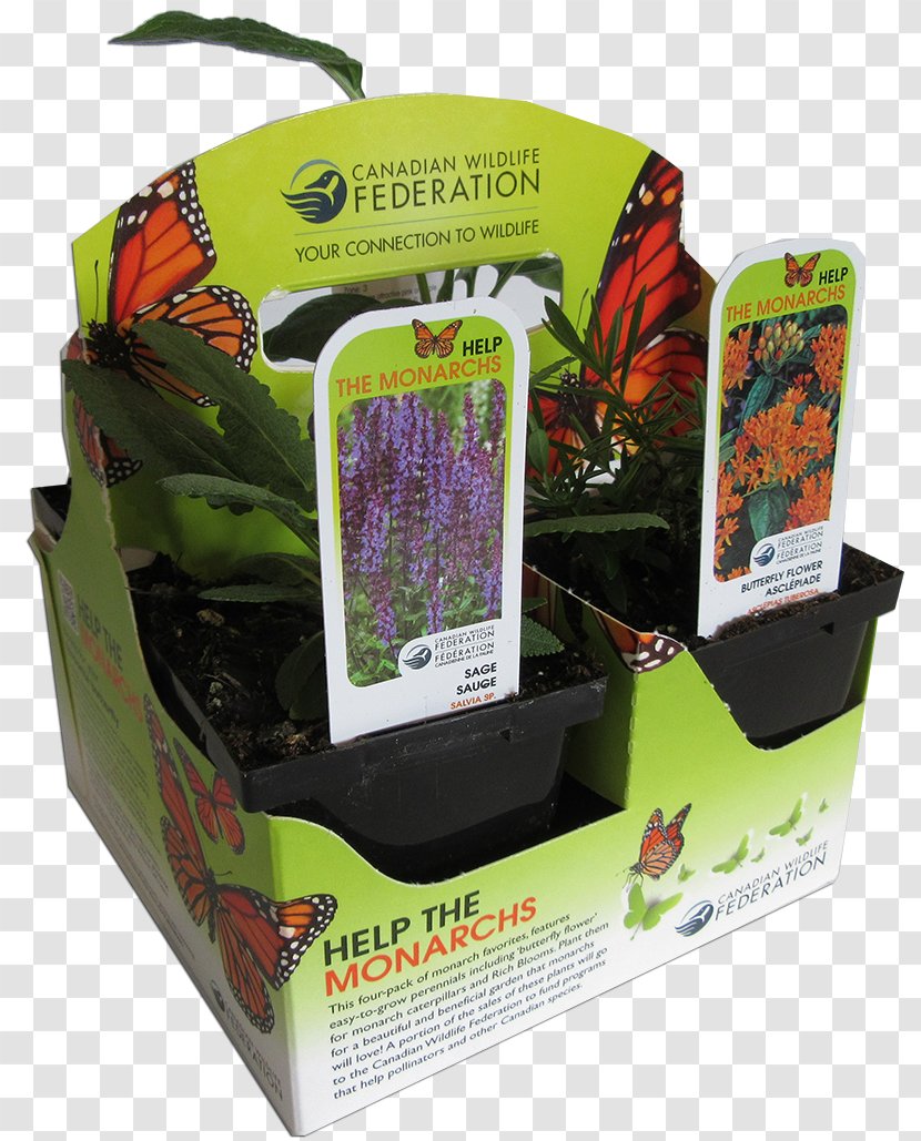 Pollinator Butterfly Plantation Tea - Sowing Transparent PNG