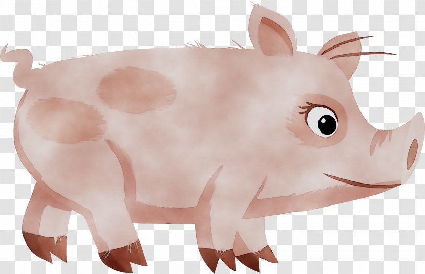 Clip Art Co Pig Taihu Livestock - Suidae - Boar Transparent PNG