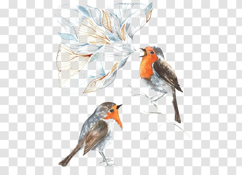 Bird Parrot Illustration - Art - Painted Transparent PNG