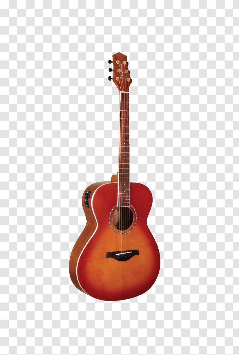 Acoustic Guitar Bass Cuatro Acoustic-electric Ukulele - Tree Transparent PNG