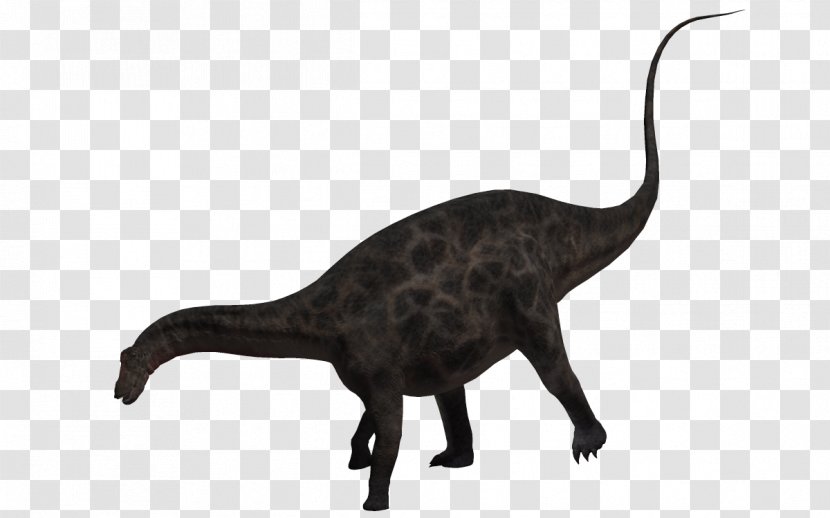 Tyrannosaurus Dinosaur Euclidean Vector Jurassic - Cat Like Mammal - Bow Transparent PNG