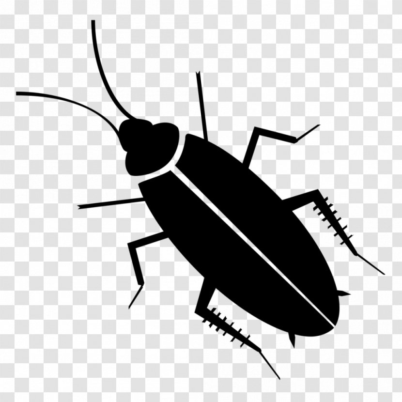 Cockroach Mosquito Pest Control Roach Bait - Silverfish Transparent PNG