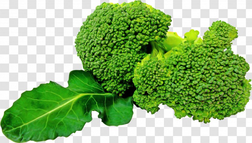 Broccoli Cruciferous Vegetables Leaf Vegetable Plant - Grass - Food Wild Cabbage Transparent PNG