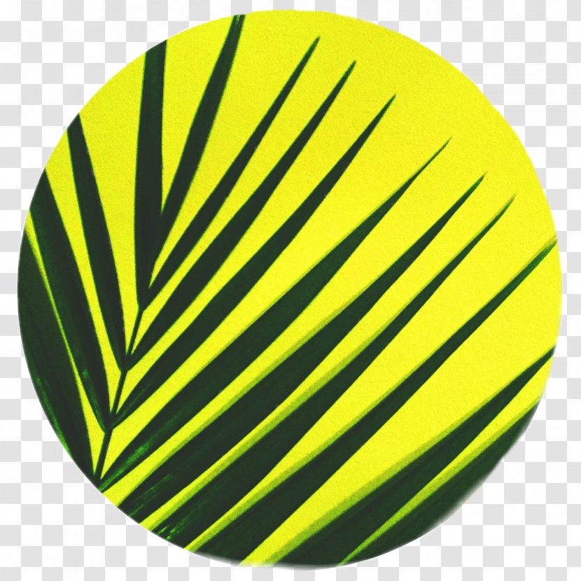 Line - Yellow - Icon Transparent PNG