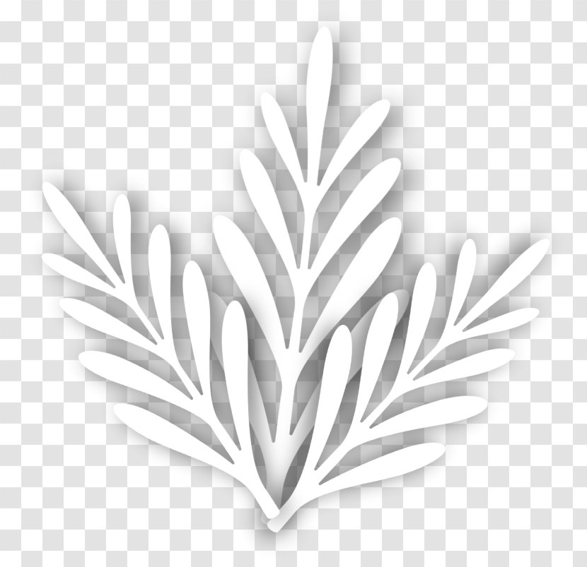 Leaf White Tree Transparent PNG