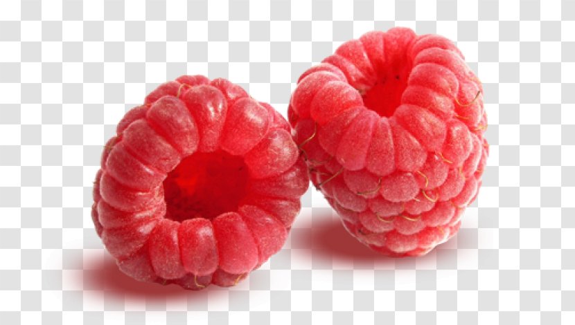 Red Raspberry Muffin Fruit Vegetable - Industrial And Organizational Psychology Transparent PNG