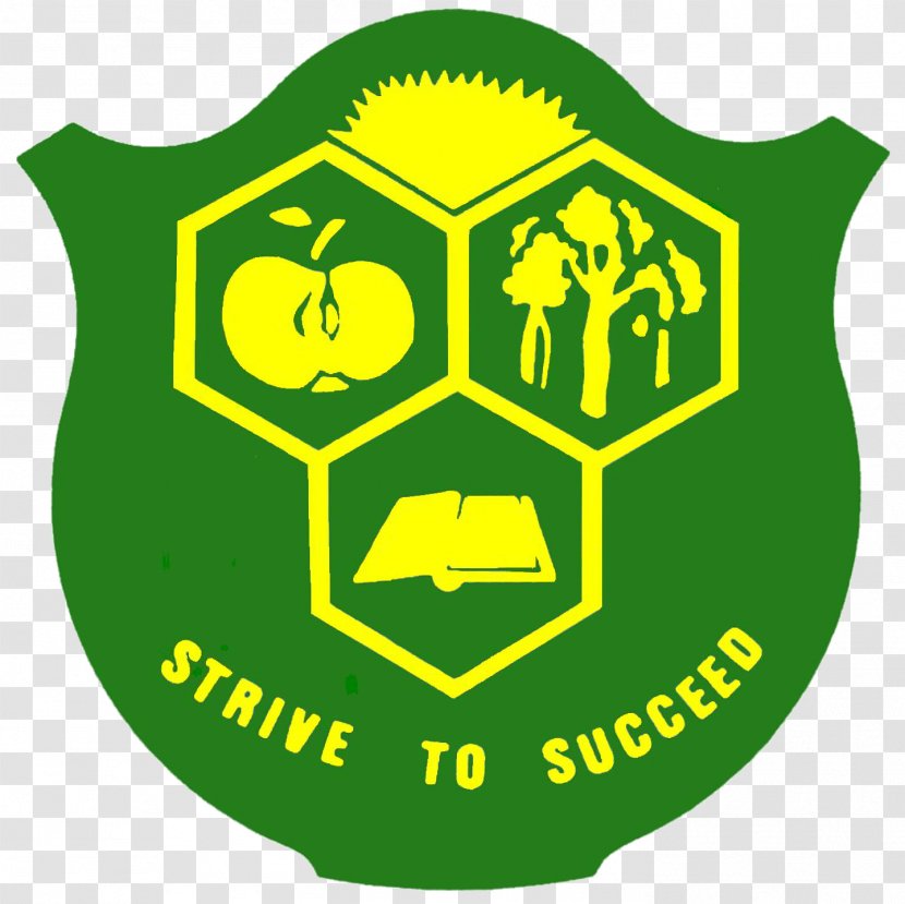 East Manjimup Primary School Education Student Elementary - Yellow Transparent PNG