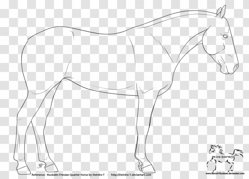 Mule Mustang Arabian Horse Friesian American Quarter - Mane Transparent PNG