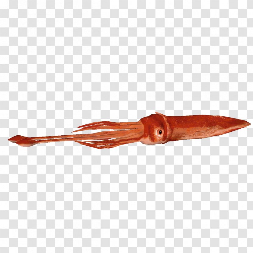 Colossal Squid Giant Invertebrate - Animal Source Foods Transparent PNG