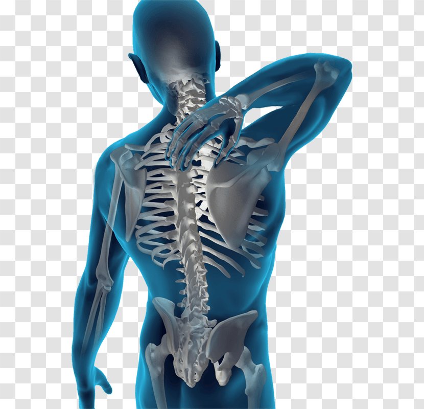 Musculoskeletal Disorder Mental Back Pain Physical Therapy Health Care - Hip Transparent PNG