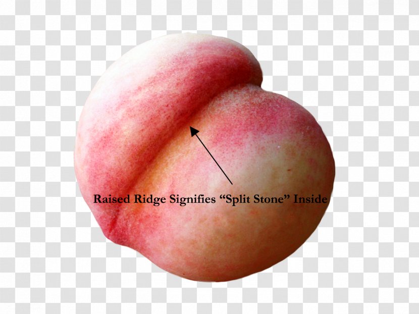 Peach Fruit Ripening Split Stones Produce - Clerks Transparent PNG